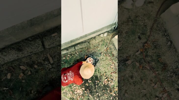 山暮らし#outdoorcooking #outdoor #campcooking #キャンプ料理 #アウトドア #キャンプ飯 #山暮らし #アウトドア料理 #acousticguitar