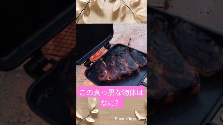 【庭キャンプ飯】冷凍餃子は保冷剤の変わりにもなるよ！冷凍餃子はホットサンドでも焼ける？ #家キャン #アウトドア #庭キャンプ #キャンプ飯 #shorts #庭キャン