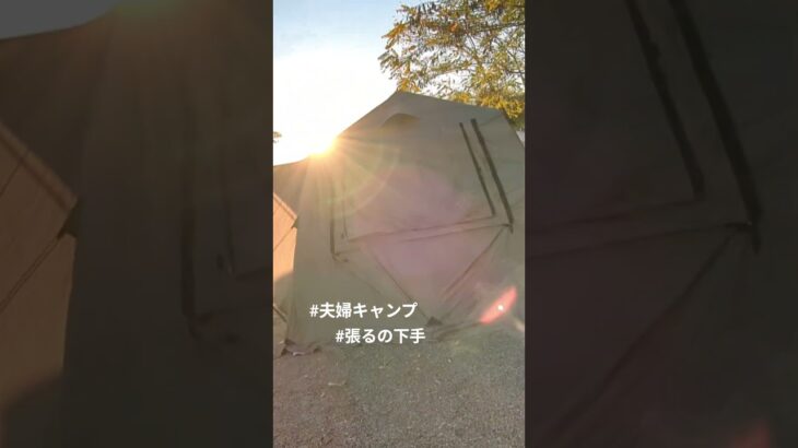月に一度の夫婦キャンプ。何度経験しても上手く張れない……。#shorts #キャンプ #キャンプ初心者