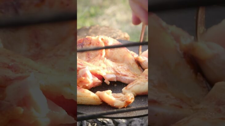 #shorts 鶏むね1枚を“豪快に”焼くだけ【キャンプ飯】