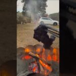 やばい料理が出来た！#shorts #キャンプ飯 #キャンプ