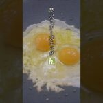 【マルチグリドル】焚火でチーズエッグで朝ごはん #ソロキャンプ #ハンモックキャンプ #キャンプ料理