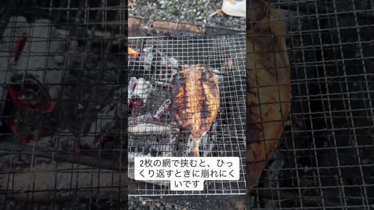 焚き火でアジ焼きました😍 #キャンプ飯 #おつまみ #料理 #アジ #網