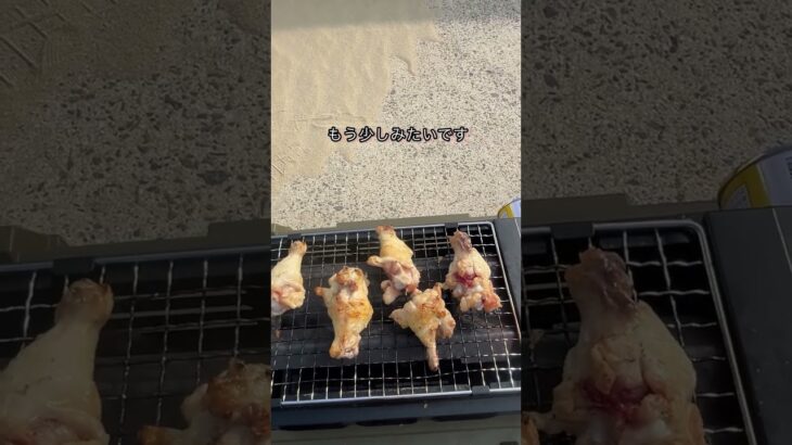 久しぶりに手羽元焼いてみた。#デイキャンプ #料理 #ぼっち飯 #キャンプ飯 #簡単料理