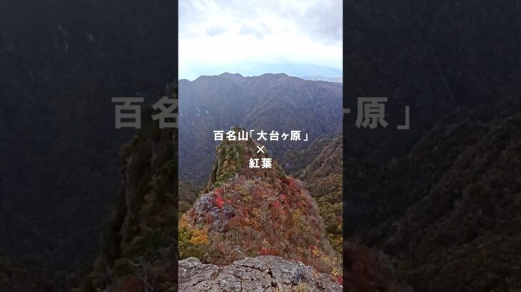 初心者でもいけるこの絶景!? 大台ヶ原が反則級すぎる