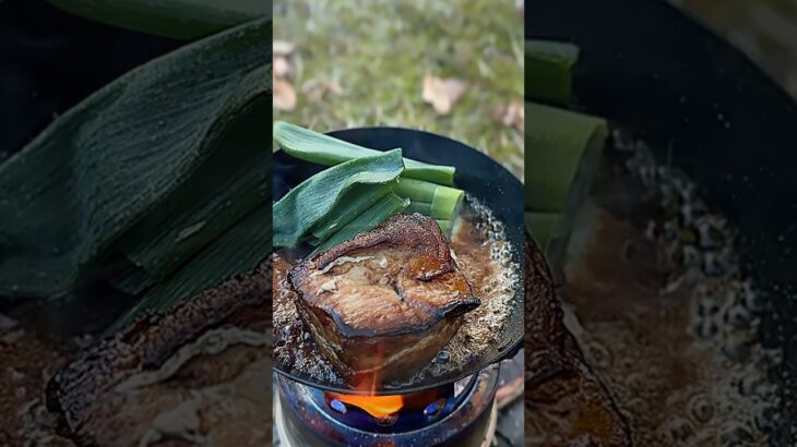 焼きチャーシュー、香ばしすぎた　　#チャーシュー丼 #焼きチャーシュー #ソロキャンプ #キャンプ飯#焚き火飯 #無骨キャンプ #アウトドア料理 #飯テロ