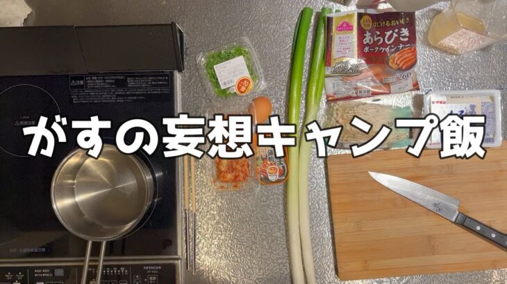 【まーがす】がすの妄想キャンプ飯【#妄想キャンプ飯 #料理 】