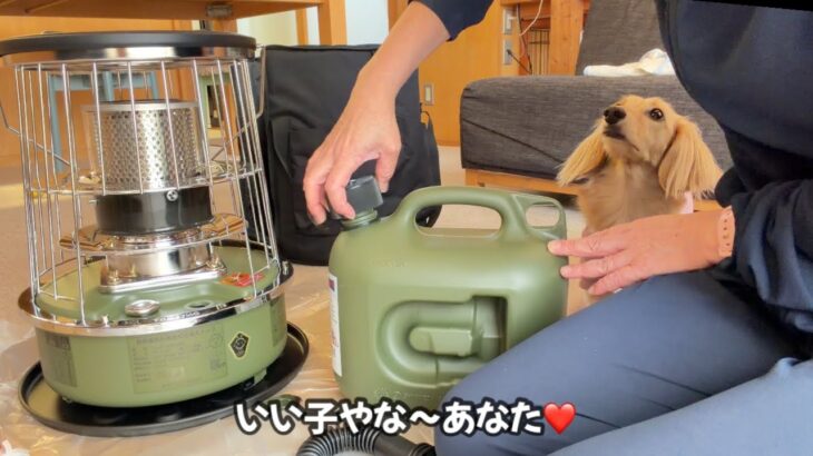 アルパカストーブ試運転【冬キャンプ初心者】🔰