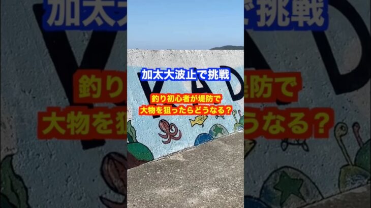 釣り初心者が堤防で大物を狙ったらどうなる？ #釣り #釣り初心者  #和歌山釣り
