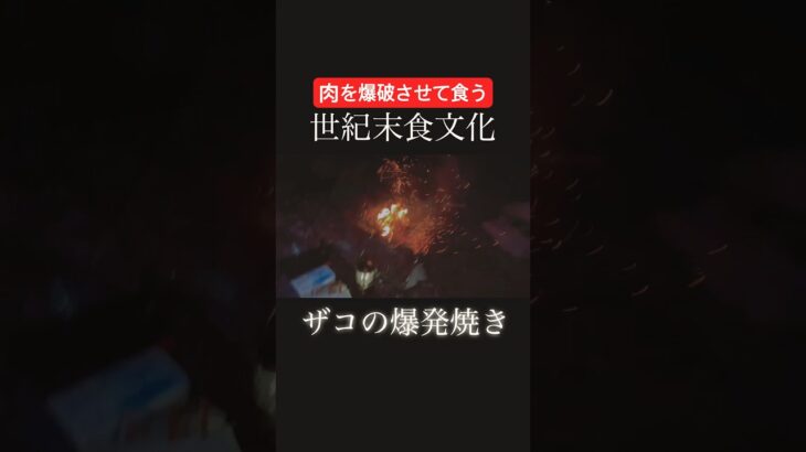 【世紀末食文化】肉を爆破させて世紀末‼︎ #バーベキュー #キャンプ飯 #料理