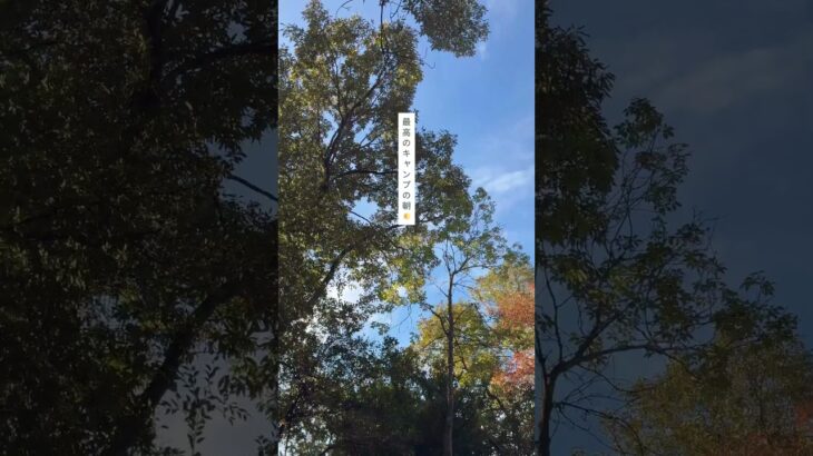 #キャンプの朝#最高の朝 #モーニングコーヒー•#アウトドア #キャンプ初心者  #ソトアソビ