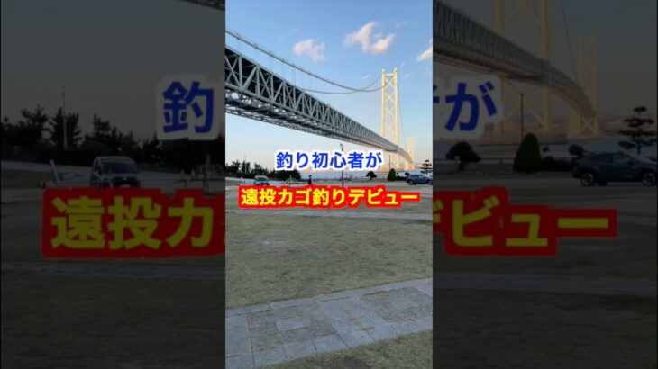 僕はあきらめません！#釣り初心者 #遠投カゴ釣り #淡路島