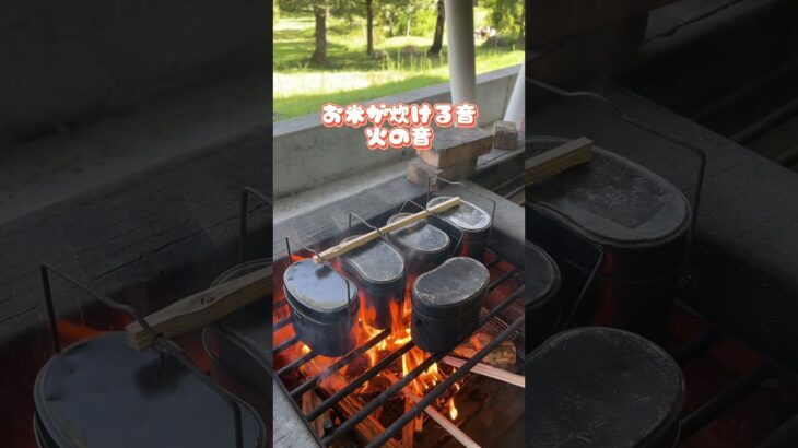 ただ“炊くだけ”なのにワクワクが止まらない…🔥飯盒の中でお米が変わっていく瞬間がたまらない！見てるだけで絶対食べたくなる🤤#飯盒炊飯 #キャンプ飯 #至福の時間 #キャンプ初心者 #アウトドア