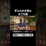 手入れが大変なキャンプ道具といえばコレ…！ #キャンプ #キャンプギア #業界裏話