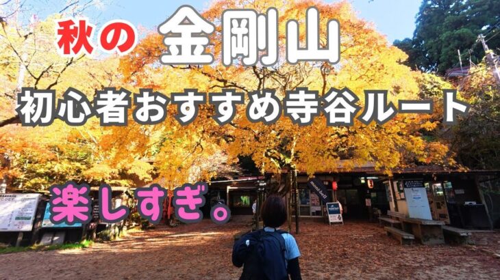 【金剛山】初心者おすすめ寺谷ルートで登ってキャンプ場でピザパ