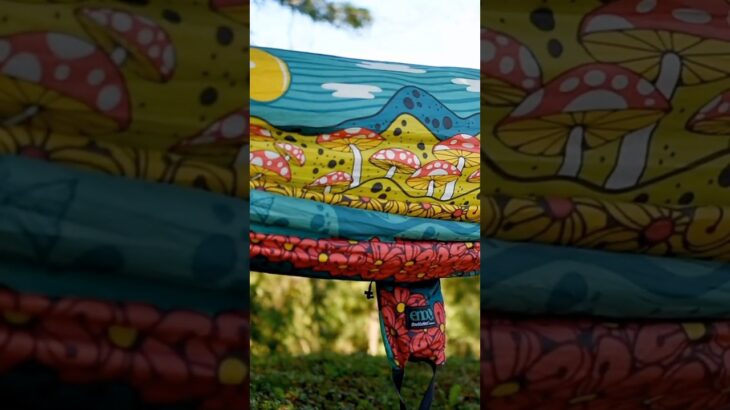 コスモスが咲き誇る秘密のキャンプ場