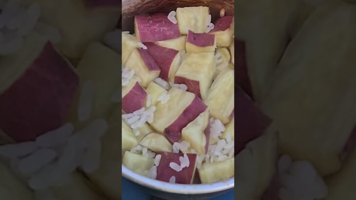 【ソロデイキャンプ】キャンプ🔰初心者。笠置キャンプ場でエブリィバンとデイキャンプ。さつまいもご飯失敗。