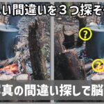 『間違い探し』写真で脳トレ！ #1150 「キャンプ料理」「六魂祭竿燈」「和室の黒電話」【高難易度】｜Find the difference game in photos