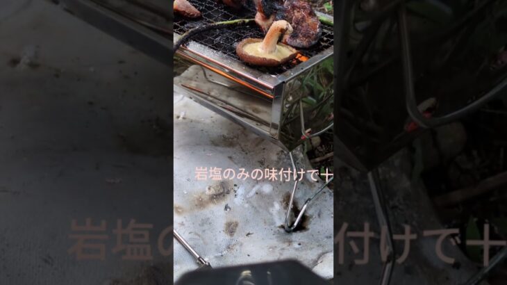 一人キャンプの独り言プチBBQ！ #料理