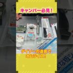 【キャンプで真似できる】ダイソーの道具だけでふわとろオムライスは作れるのか？#料理 #グルメ好き #オムライス #cooking #東京グルメ #レシピ