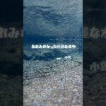 渓流沿いの冬キャンプ　アンチョビとブロッコリーペンネ#shorts #キャンプ飯