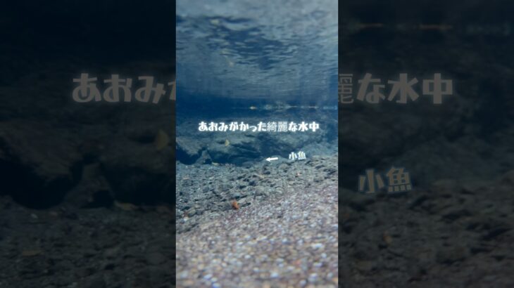 渓流沿いの冬キャンプ　アンチョビとブロッコリーペンネ#shorts #キャンプ飯