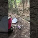 竹林整備の合間にホットサンド作り #shorts #ホットサンド #料理 #キャンプ飯 #cooking #bamboo #camping
