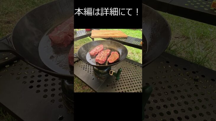 【ソロキャンプ】新しいテントで過ごすキャンプ　冒頭#shortvideo #shorts