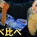 キャンプで再現料理衛宮さんちの今日のごはん「鮭ときのこのバターホイル焼き」 ドジねこキャンプ飯