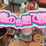 【ディ車庫キャンプ】初心者女子キャンプ⑭親子丼