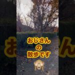 ウキキ散歩🐒紅葉を求めて・・・皆さまお疲れ様です #おじさん #料理 #アウトドアグルメ #くりまんじゅう #おつまみ #グルメ #燻製 #おいしい #キャンプ飯 #癒し #お酒 #酒 #散歩