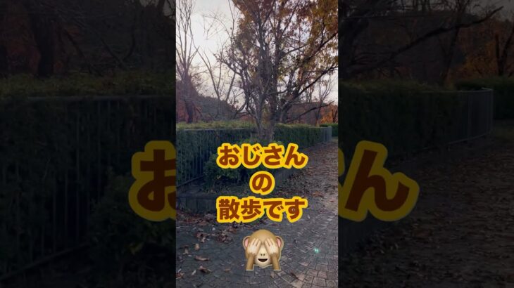 ウキキ散歩🐒紅葉を求めて・・・皆さまお疲れ様です #おじさん #料理 #アウトドアグルメ #くりまんじゅう #おつまみ #グルメ #燻製 #おいしい #キャンプ飯 #癒し #お酒 #酒 #散歩