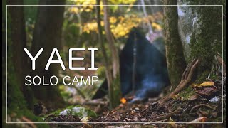 【野営】紅葉の森でソロキャンプ 　ポーランド軍幕