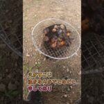 橋の下で激ウマハラミを焼いてみた結果！【アウトドア】