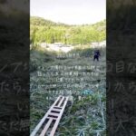 キャンプ場作るって友人に話したら、手伝いに来てくれました！草刈り初めてなのに、必死で身長より高いススキを一生懸命刈りました。少し目の前の景色が広がっただけで大喜びして、しんどいけど楽しい作業です！