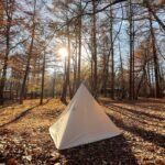 【ソロキャンプ】秋の森が心地よすぎた。紅葉散歩と旬のご飯で味わう贅沢な時間。