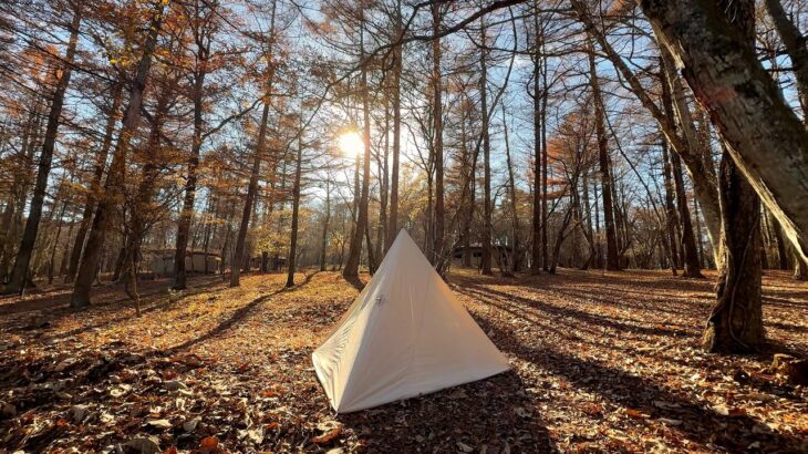 【ソロキャンプ】秋の森が心地よすぎた。紅葉散歩と旬のご飯で味わう贅沢な時間。