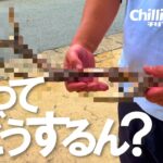 【夫婦キャンプ】また夫が勝手に買って来た・・ハチ高原オートキャンプ場②