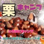 栗拾いしたよ！初の一泊キャンプ・サイト紹介あり【vol.1】いろはにキャンプin 9時17時道志オートキャンプ場