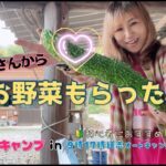 初心者おすすめ！野菜がもらえるキャンプ場・サイト紹介あり【vol.1】いろはにキャンプin 9時17時道志オートキャンプ場